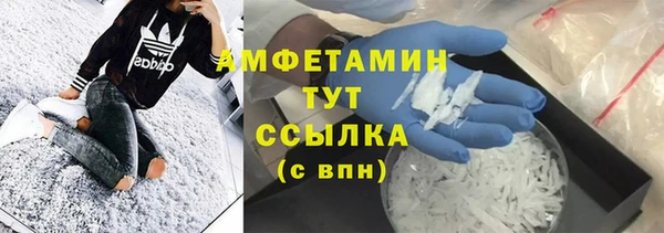 крисы Новозыбков