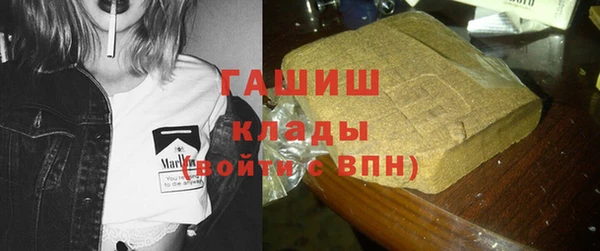 крисы Новозыбков