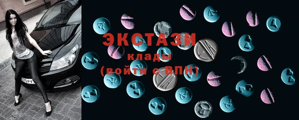 крисы Новозыбков
