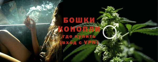 spice Новодвинск