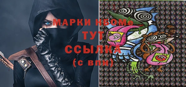 крисы Новозыбков