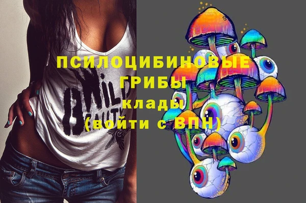 spice Новодвинск