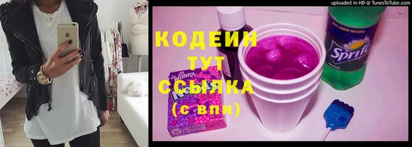 spice Новодвинск