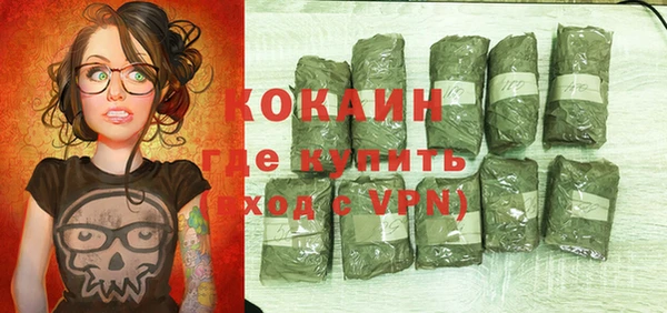 крисы Новозыбков