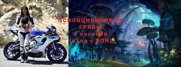spice Новодвинск