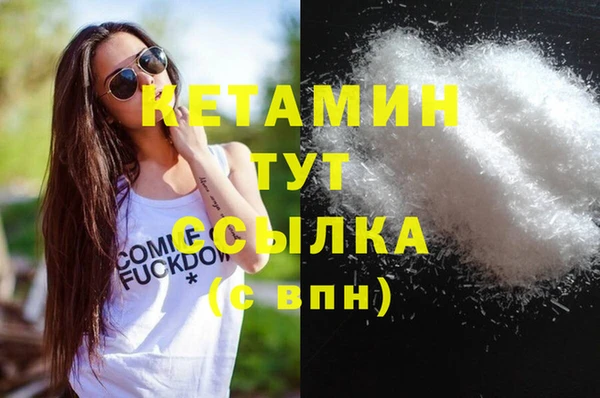 крисы Новозыбков