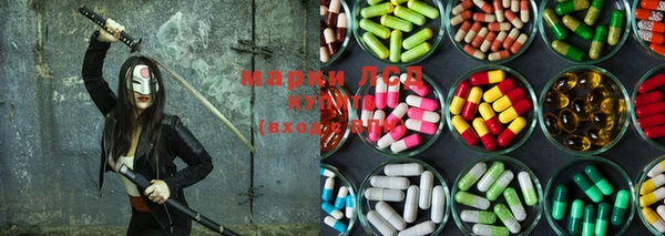 spice Новодвинск