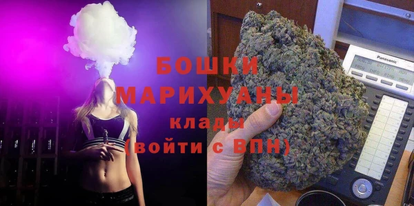 крисы Новозыбков