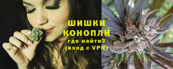 spice Новодвинск