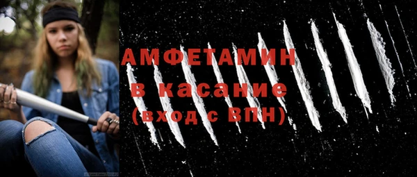 крисы Новозыбков