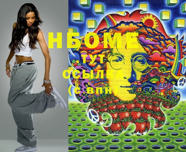 крисы Новозыбков