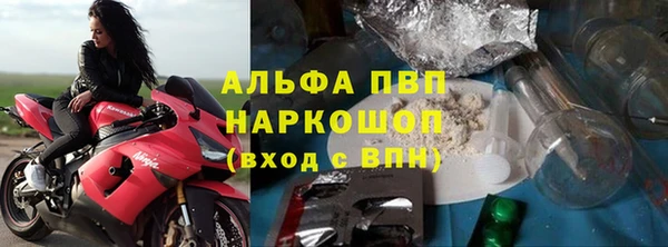 крисы Новозыбков