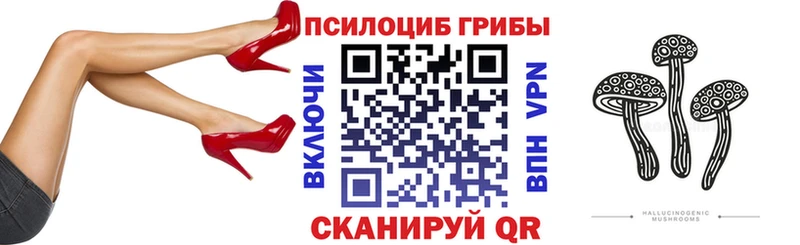 продажа наркотиков Нижневартовск Галлюциногенные грибы Psilocybine cubensis